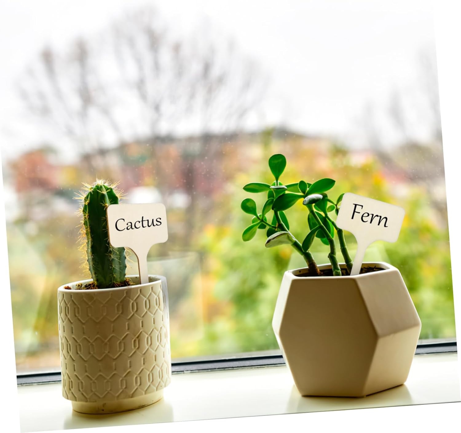 BESPORTBLE 3sets Plant Labels for Outdoor Plants Garden Signs Stakes Decorative Garden Tags 50pcs*3