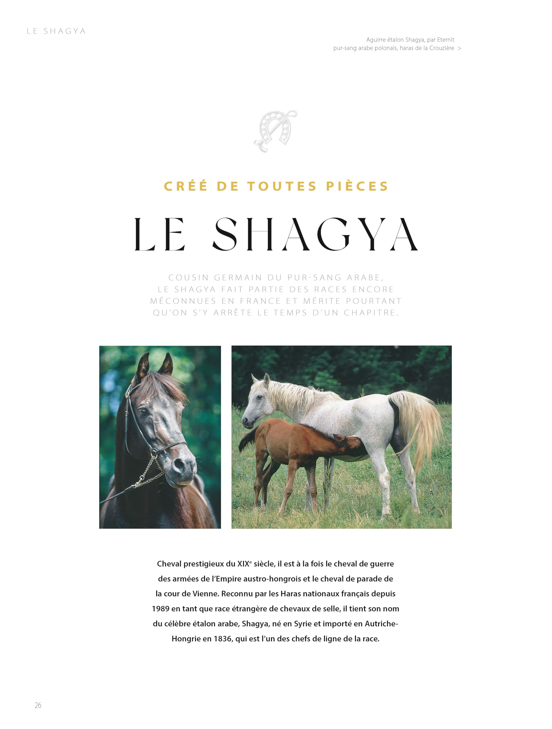 Chevaux de rêves - Les plus belles races du monde - Nouvelle édition