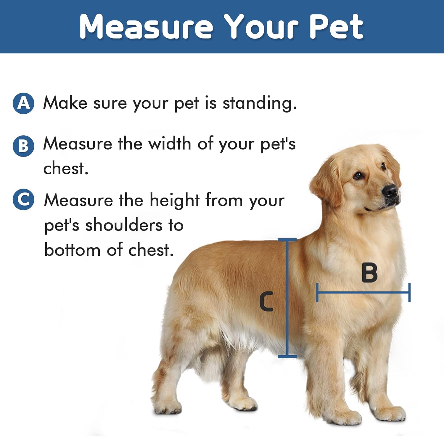 Dog Door, Plastic Pet Door by PETOUCH, 16.7" x 11.7" Inner Frame for Large Dog and Pets, Easy to Install, 2-Way Locks, Durable Frame Doggy Door for Door, Screen & Wall, White Doggie Door, Large : Pet Supplies