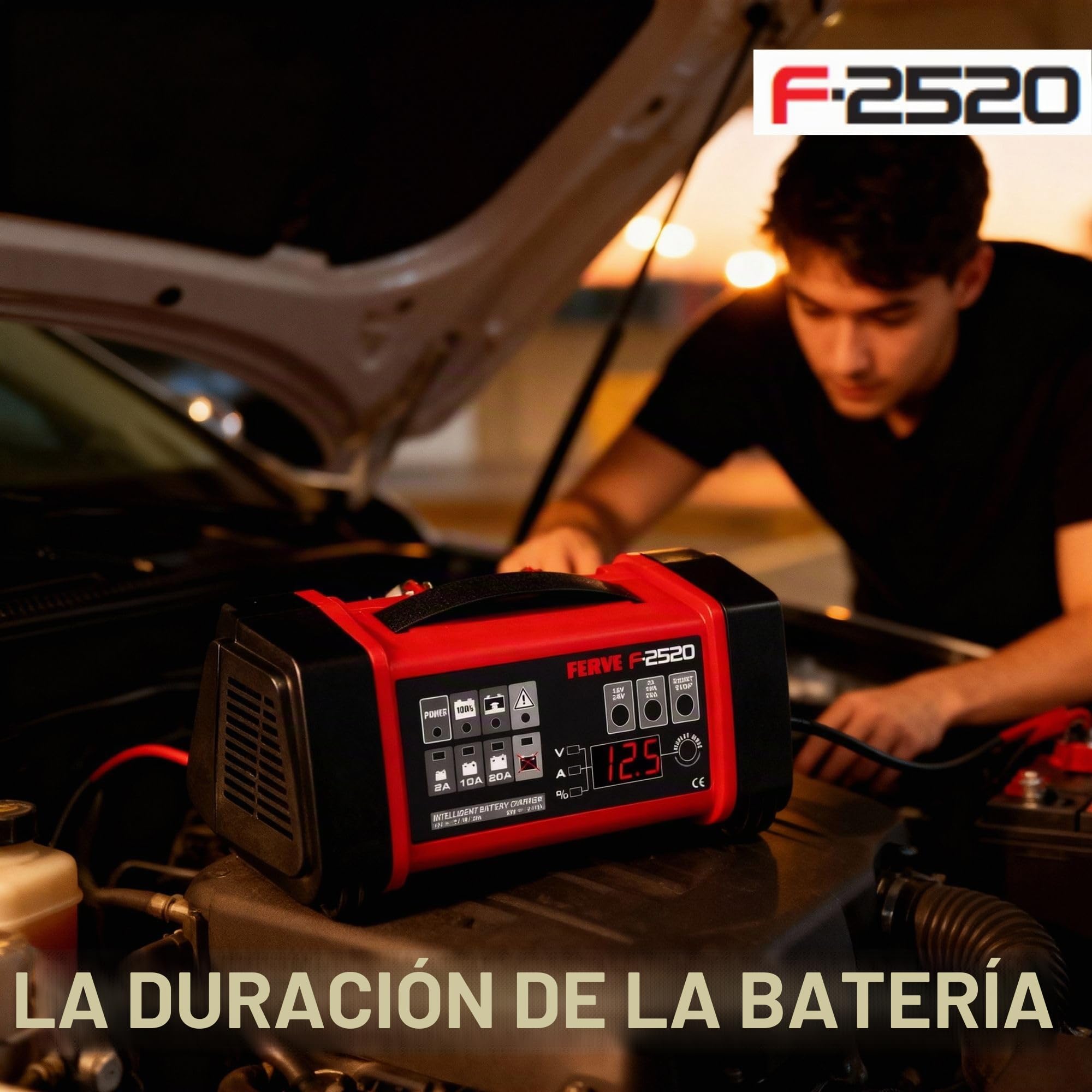 Ferve F-2520 Cargador Automático de Baterías de Plomo Ácido