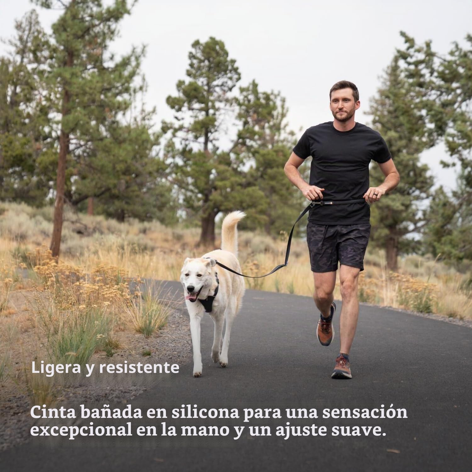 RUFFWEAR Correa para Perros de Longitud Ajustable con 2 Clips de Bloqueo, Switchbak, para Llevar en la Cintura, el Hombro o de la Mano, acoplador, con Doble Clip, Blue Pool