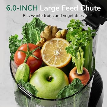 Canoly 3-in-1 Cold Press Juicer C16, Makes Juice & Sorbet & Nut Milk
