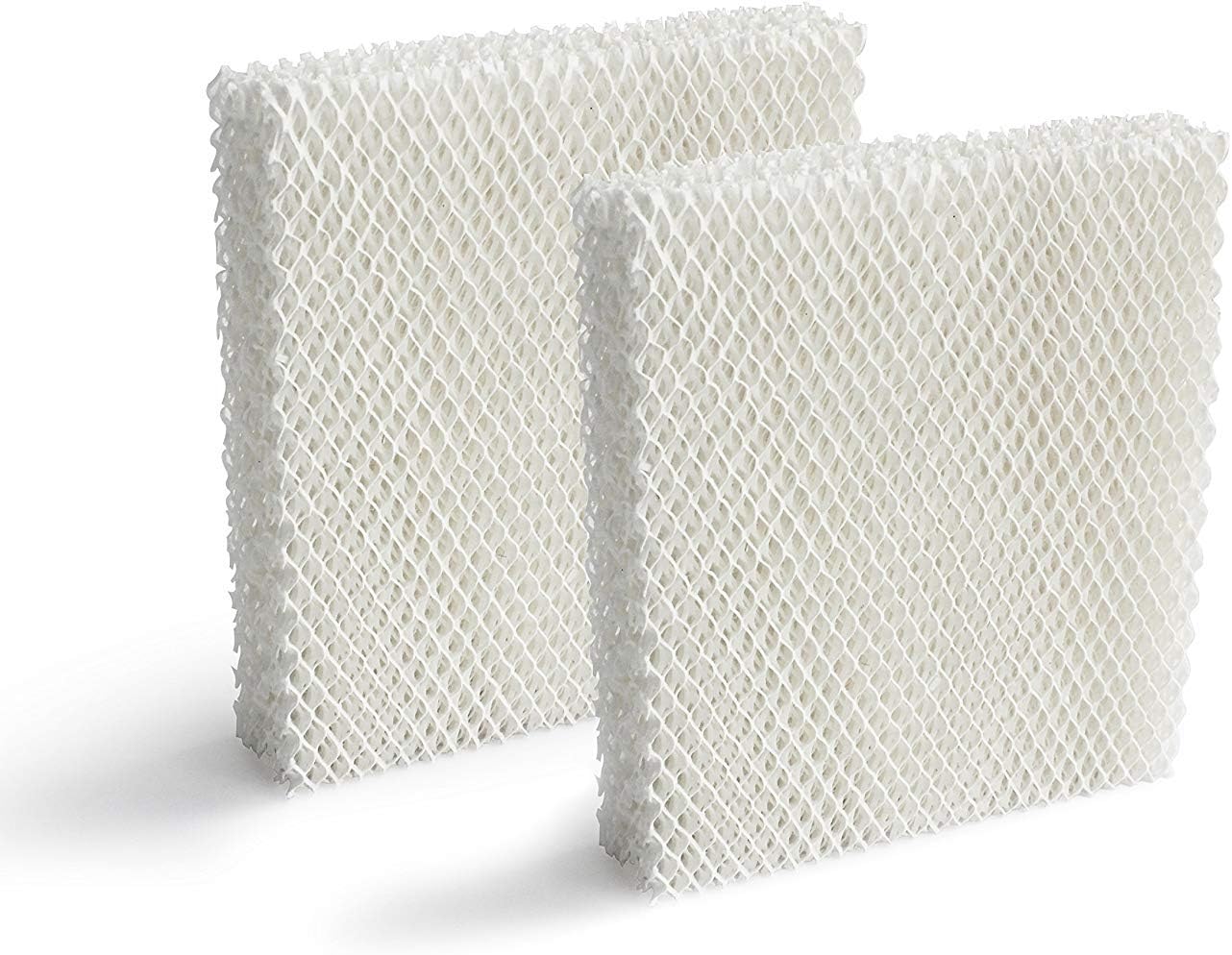 TINGKAM 2 Pack Humidifier Replacement Filter T for