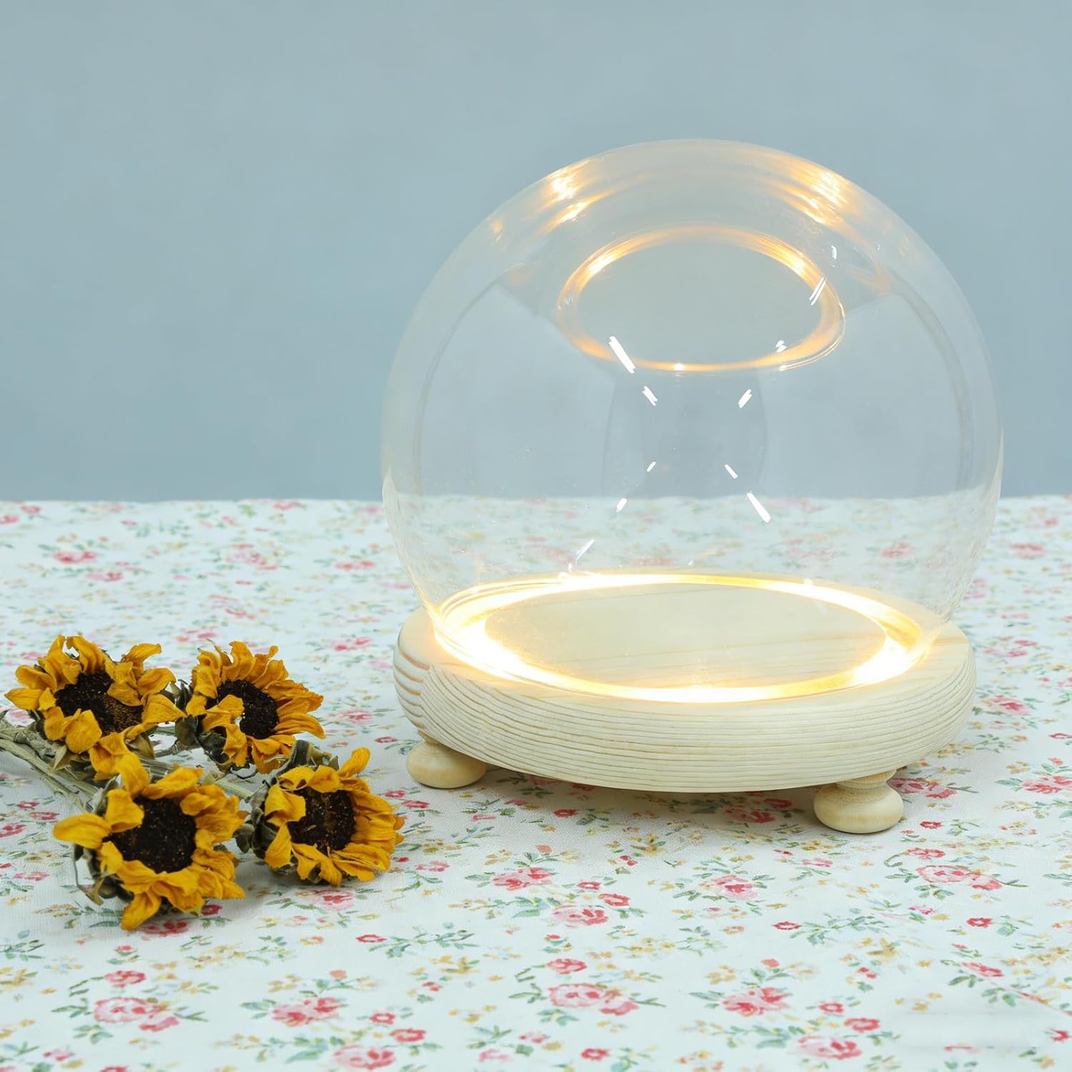 Glass Display Dome with Luminous Base for Micro Landscapes