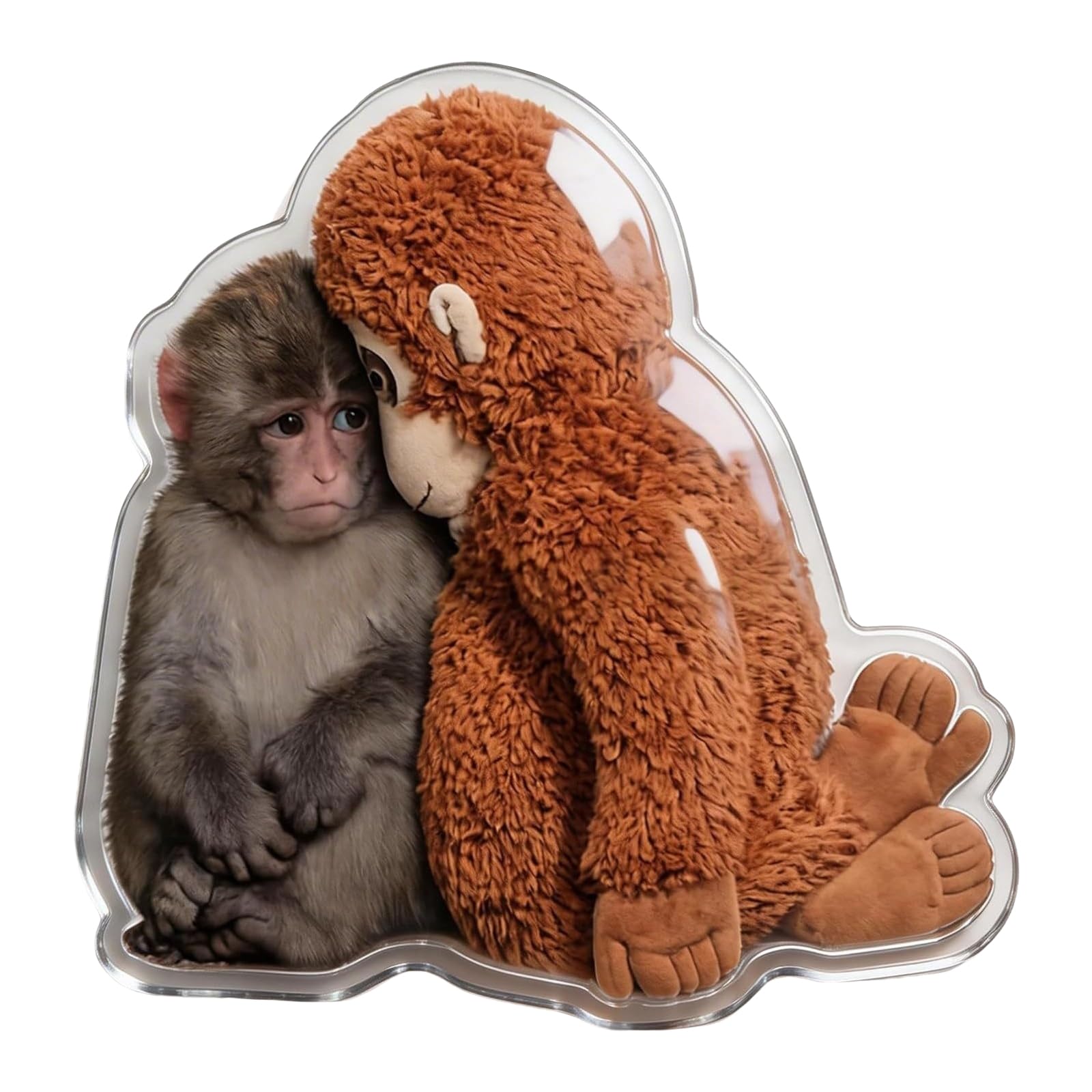 Protect The Monkey Fridge Magnets Fun Baby Monkey Decor for Refrigerator Whiteboard Office Gift for Animal Enthusiasts