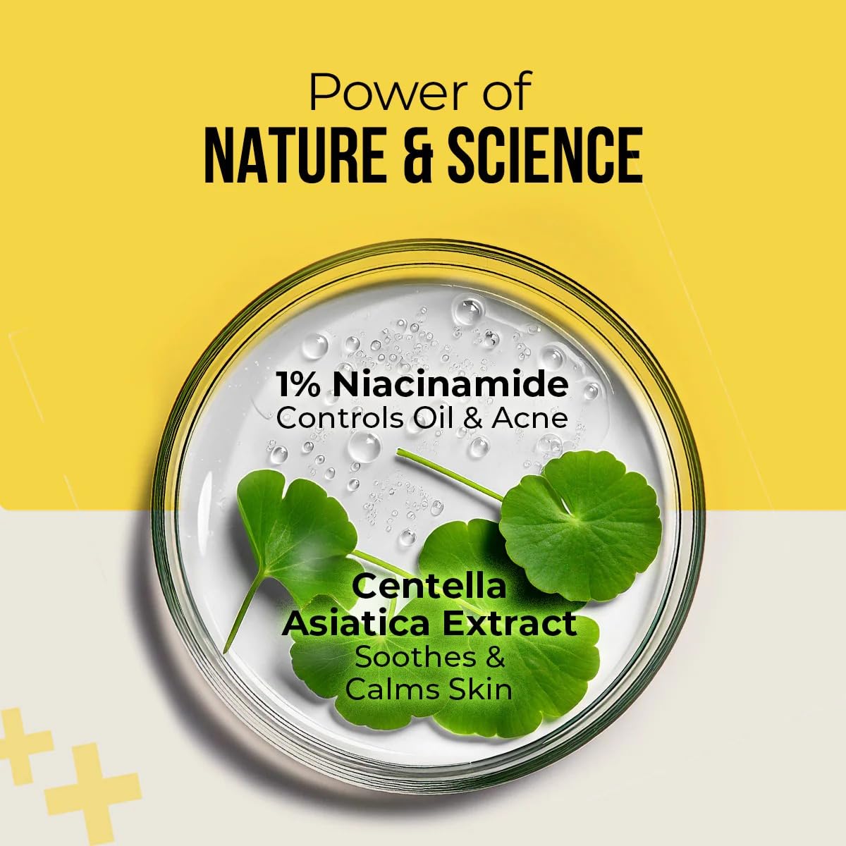 Dr. Sheth's Centella & Niacinamide Oil-Free Matte Sunscreen SPF 50 PA+++, for Oily & Acne-Prone Skin | In-Vivo tested | Controls excess oil and Reduces enlarged pores | Light weight | Zero white cast | Non-Greasy | 50 g 1