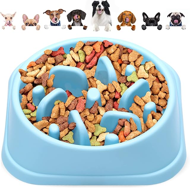 YOGINGO Slow Feeder Dog Bowl to Slow Down Eating Pet Puppy Cat and Dog Bowls - BPA-Free Anti Gulp Dog Bowl Non-Slip Healthy Eating Bowl Fit Small Medium Dogs and Cats (Blue)