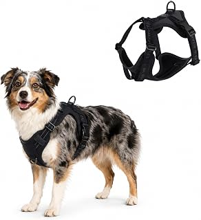 Dog Harness with Soft Padding - Adjustable Anti Pull Harness without Choking Control for Small, Medium and Large Dogs (Black, S)