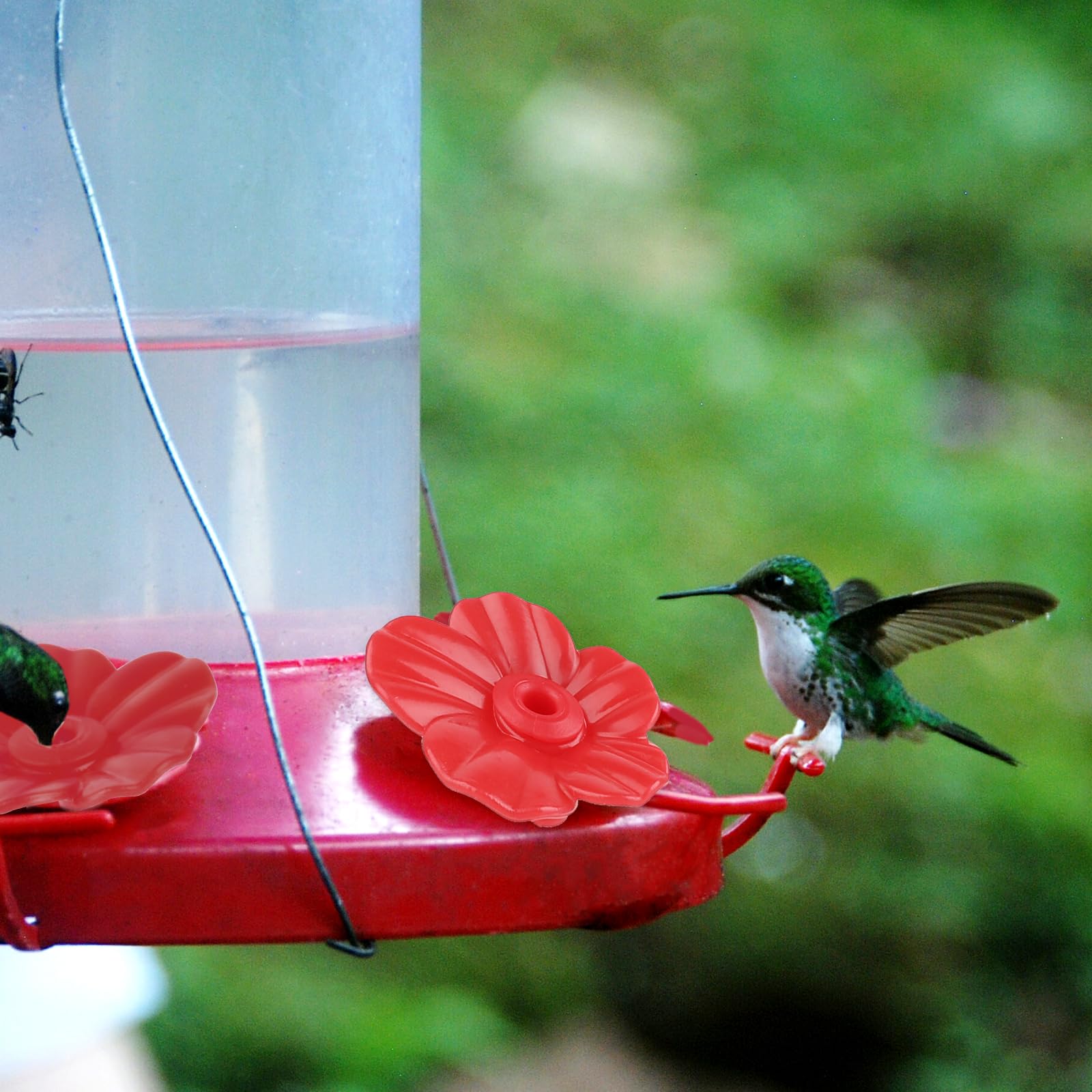 Comederos De Colibríes Para Colgar Al Aire Libre, 8 Puertos De Alimentacion Para Atraer Mas Colibries A Prueba De Hormigas Y Abejas Comedero De Colibri Sin Fugas En El Exterior