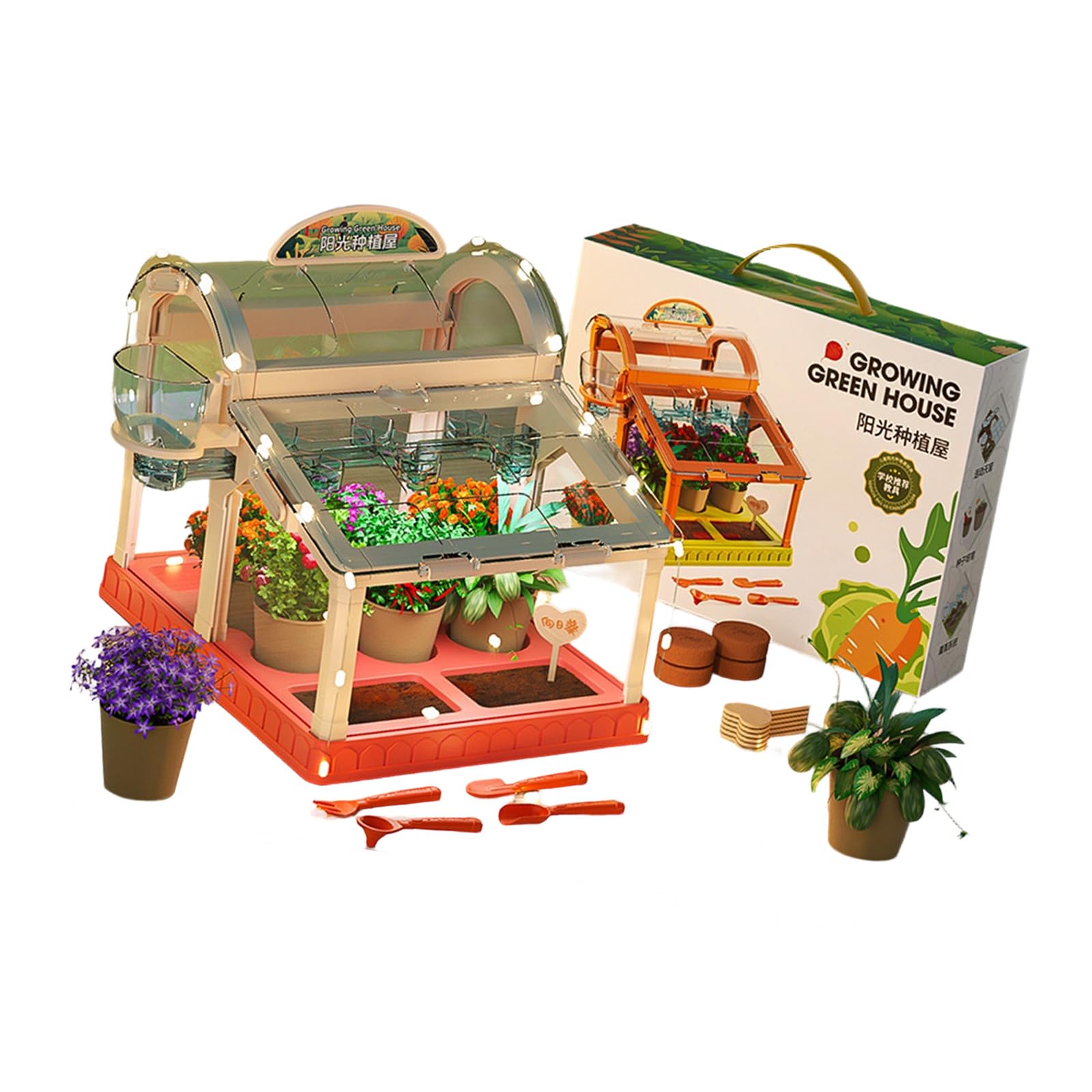 Tsophreniq A Interactive Gardening Set With Led Grow Lights Nd Clear Crylic For Family Ctivities Childrens Gardening Set Having Built In Led Lighting Clear Crylic Small Greenhouse