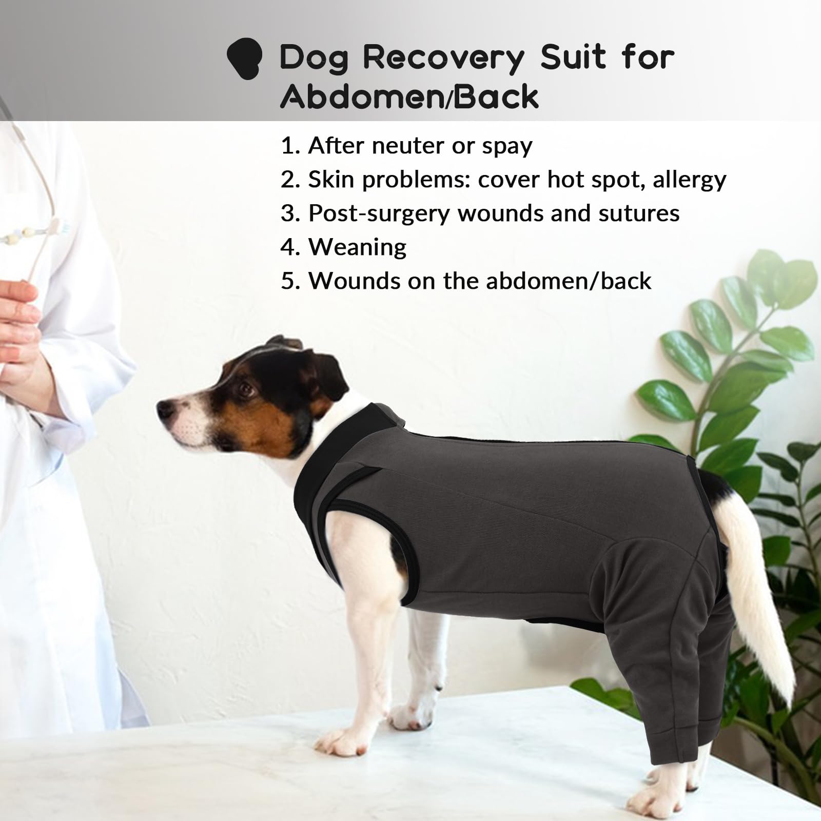 Body Chien, Body Post Operatoire Femelle Combinaison après Chirurgie Combinaison d’Opération de Chien Vêtements Chirurgicaux Anti-Léchage Gilet Post-Opératoire(Gris, M)
