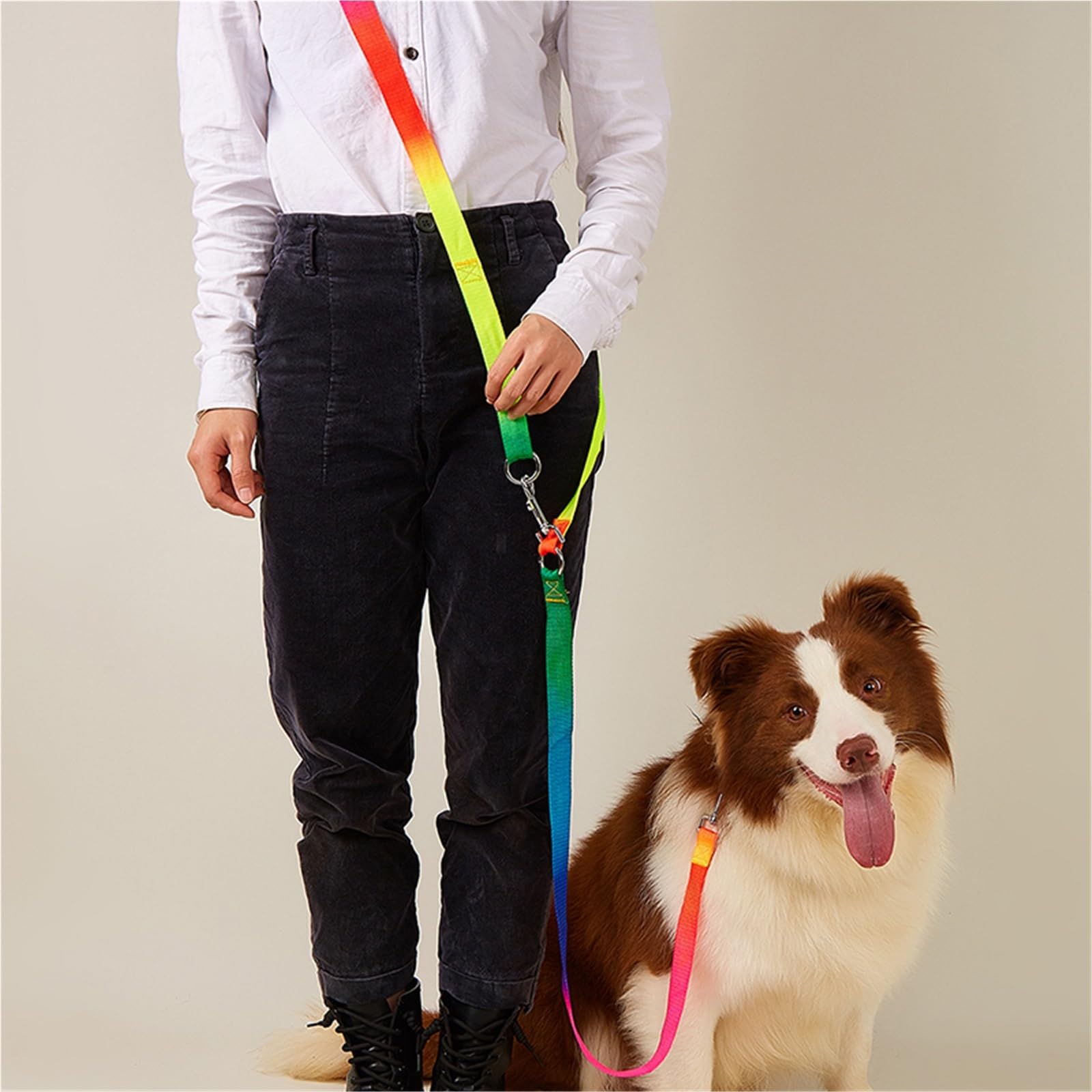 Ceinture de Traction pour Chien Laisse en Nylon Souple for Chiens de Compagnie, Corde Traction Mains Libres for Grands(Black)
