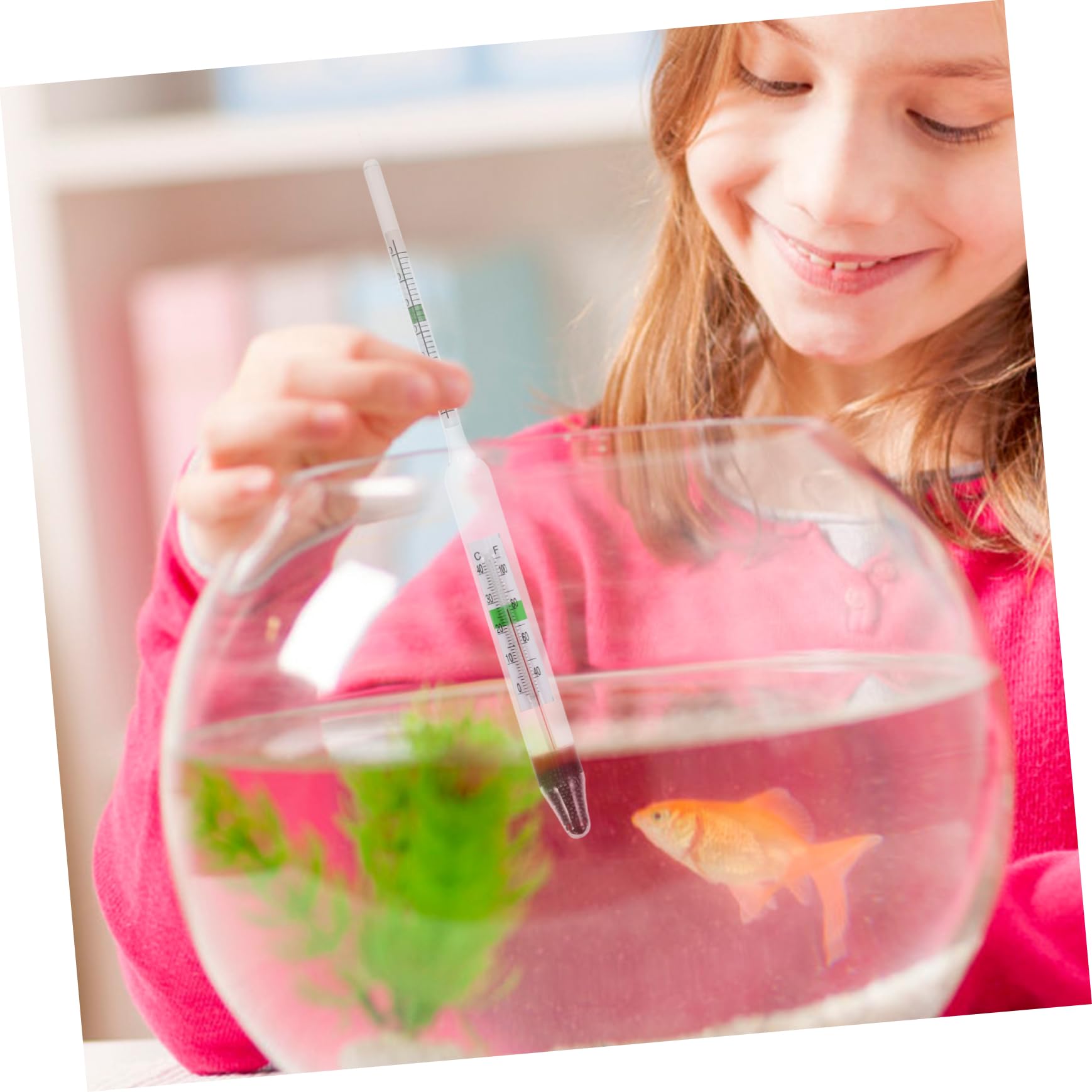 Mobestech 4sets Idrometro Per Acquario Kit Completo Di Misurazione Salinità Con Graduata e Scatola Strumento Affidabile Per Acquacoltura e Test Salata