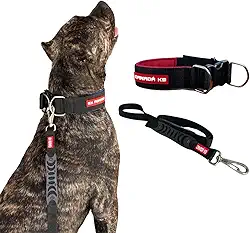 Coleira com Fecho com Guia para Cães Fortes - Canadá K9 (preto)