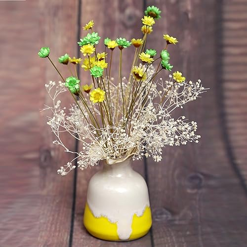Miniatura 4 de 100 tallos naturales de flores secas brasileñas pequeñas estrellas margaritas decorativas flores secas mini margarita ramo de manzanilla para bodas,