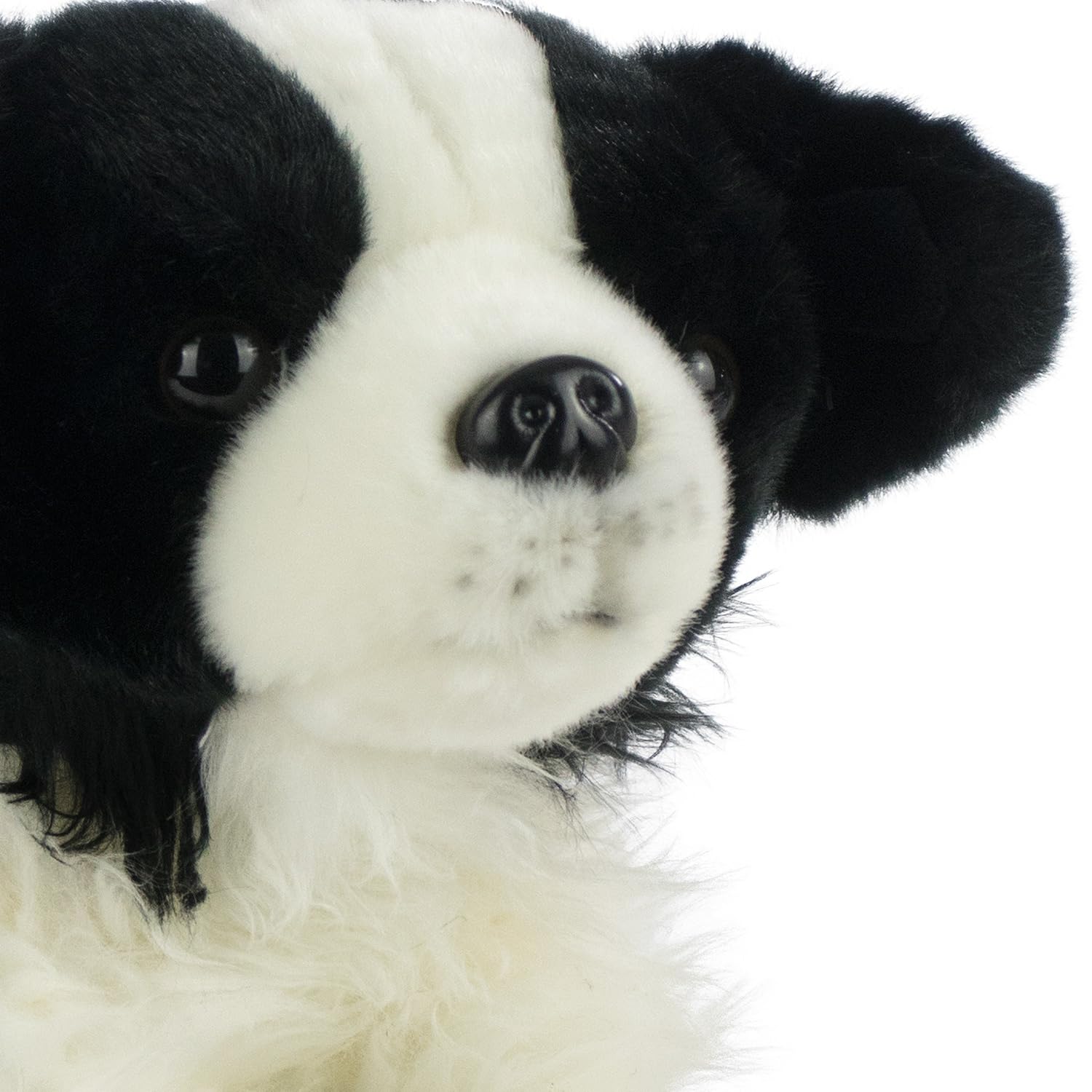 Barrado - Psy rasowe pluszowe - 25 cm - 16002548 (Borde Collie)