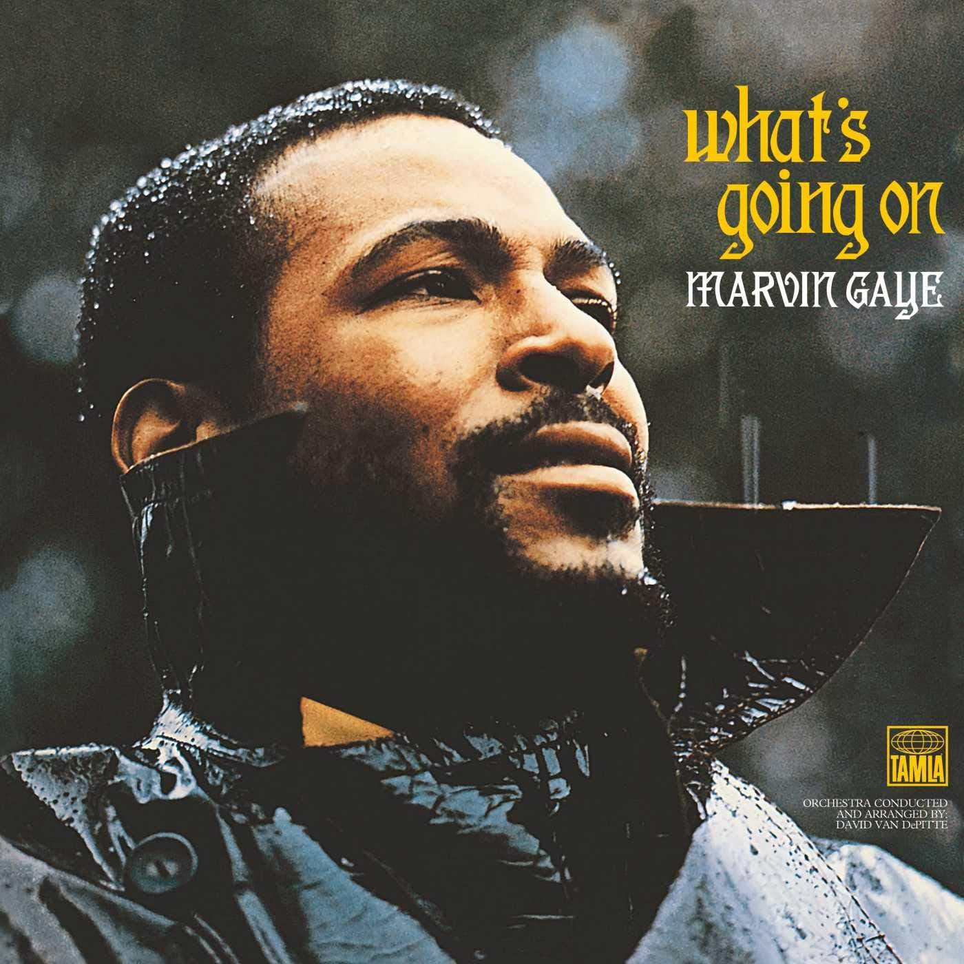 What's Going On [VINYL]