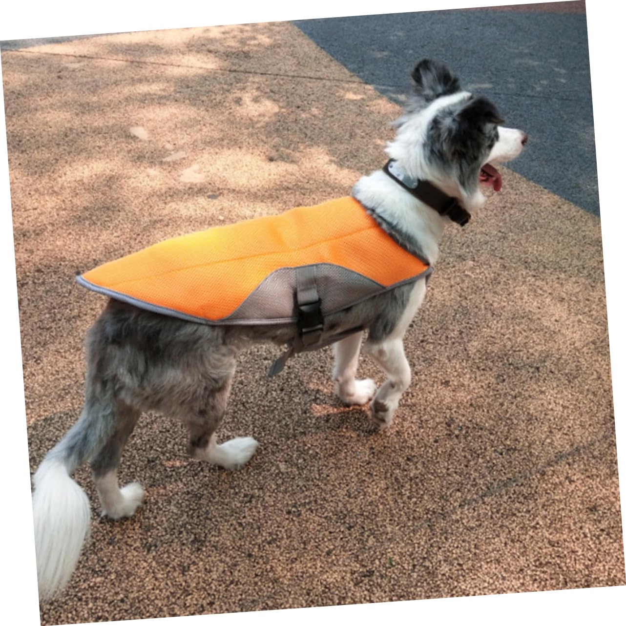 POPETPOP Gilet Rafraîchissant pour Chien Manteau pour Animaux De Compagnie Confortable Et Respirant Orange