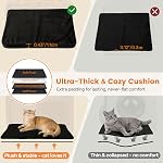 Cat Carrier Soft Sided Airline Approved for Small Pet Dog Travel | Foldable Top Loading Bag for Medium Animal Kitten Puppy Long Car Trip, Expandable Large Carriers for Kitty Under 20 lb