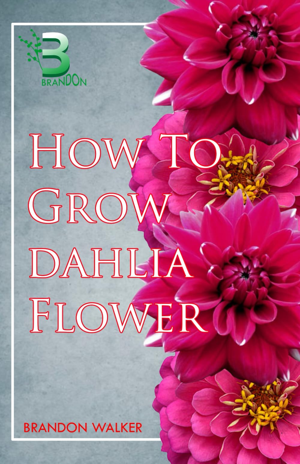 HOW TO GROW DAHLIA FLOWER: Beginners Guide To Growing, Caring and Harvesting Dahlia at Home and in The Garden