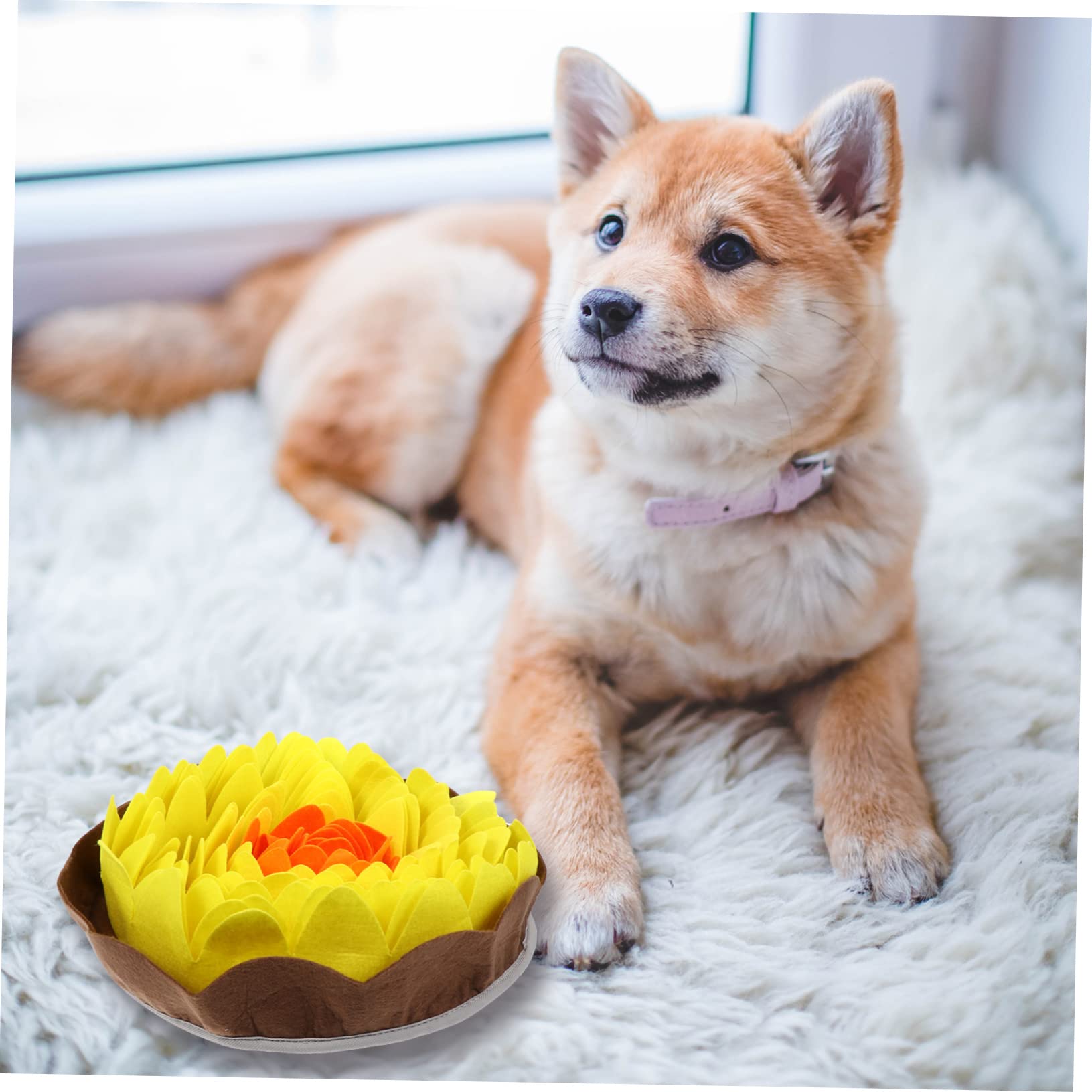 Beavorty 2stücke Pet Dog Sniffle Mat Für Effektives Futtertraining Atmungsaktive rutschfeste Pet Floor Mat Für Langsames Fressen Und Interaktives Spielzeug Leuchtenden Farben