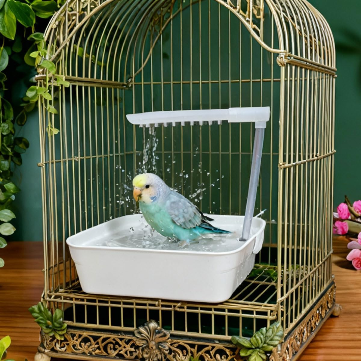 Alide Baignoire pour oiseaux, cycle d'eau automatique avec plusieurs robinets, baignoire douche multifonction pour perroquets, baignoire douche électrique USB pour oiseaux, blanche