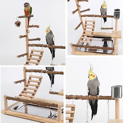Bird Playground, Parrot Perch Stand, Natural Wood Bird Play Stands for Cockatiel Wood Perch Gym Playpen Ladder with Removable Tray and 2 Stainless Steel Cups, Bird Cage Accessories, Parrot Swing