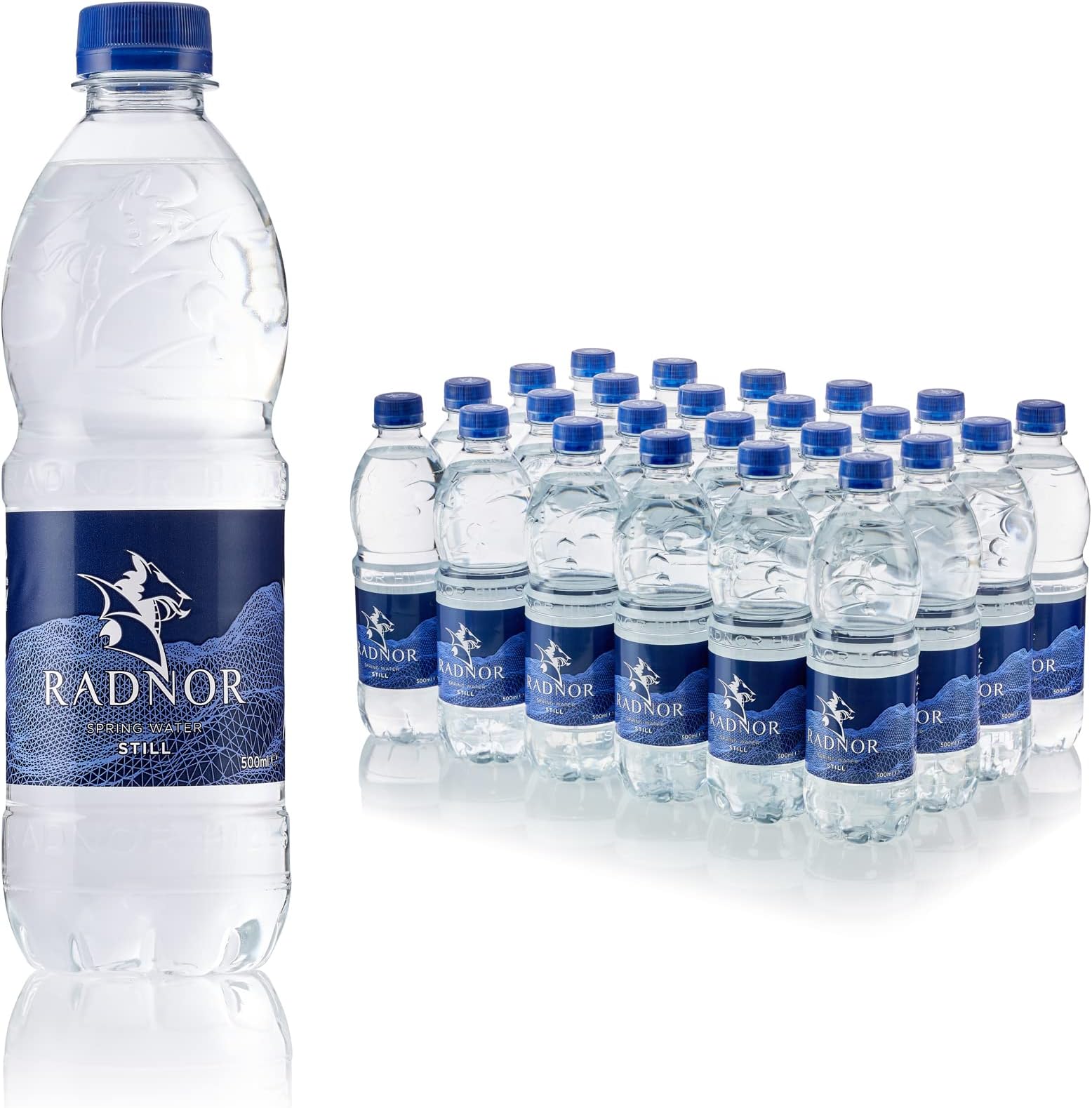 Radnor Hills Mineral Water Screw Cap Bottle 24x500ml