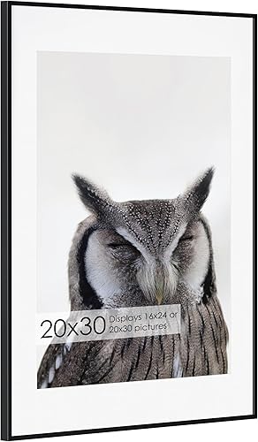 Miniatura 631 de Fun Memories Portarretratos de metal de 16 x 20 pulgadas con paspartú de 11 x 14 pulgadas, acabado de aluminio cepillado, parte delantera de vidrio