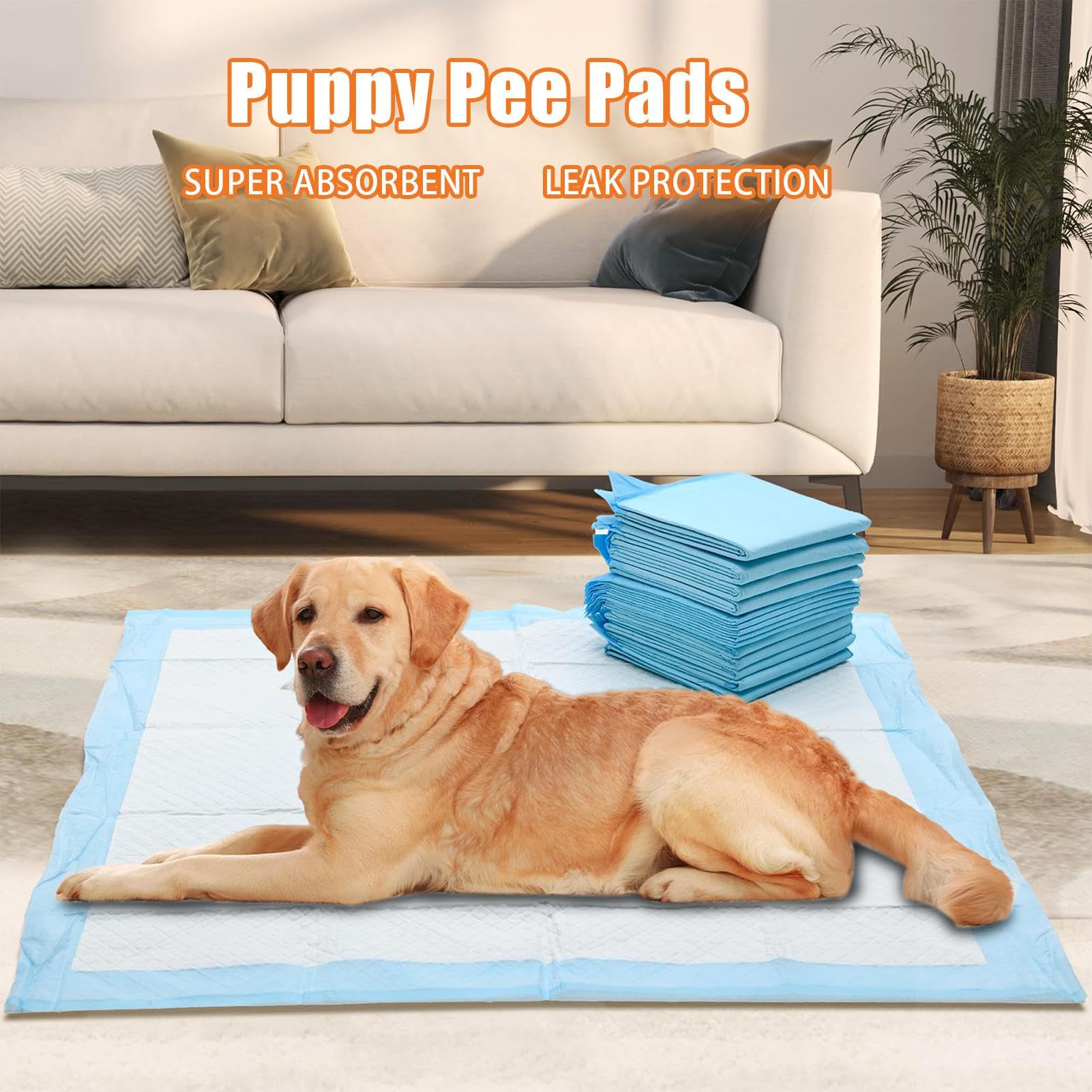 Wee Wee Lot de 100 Tapis d'entraînement pour Chiens, Tapis de Dressage