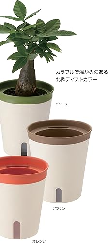 Miniatura 5 de Richell Mielno Plus Pot, Type 15, Orange (O)