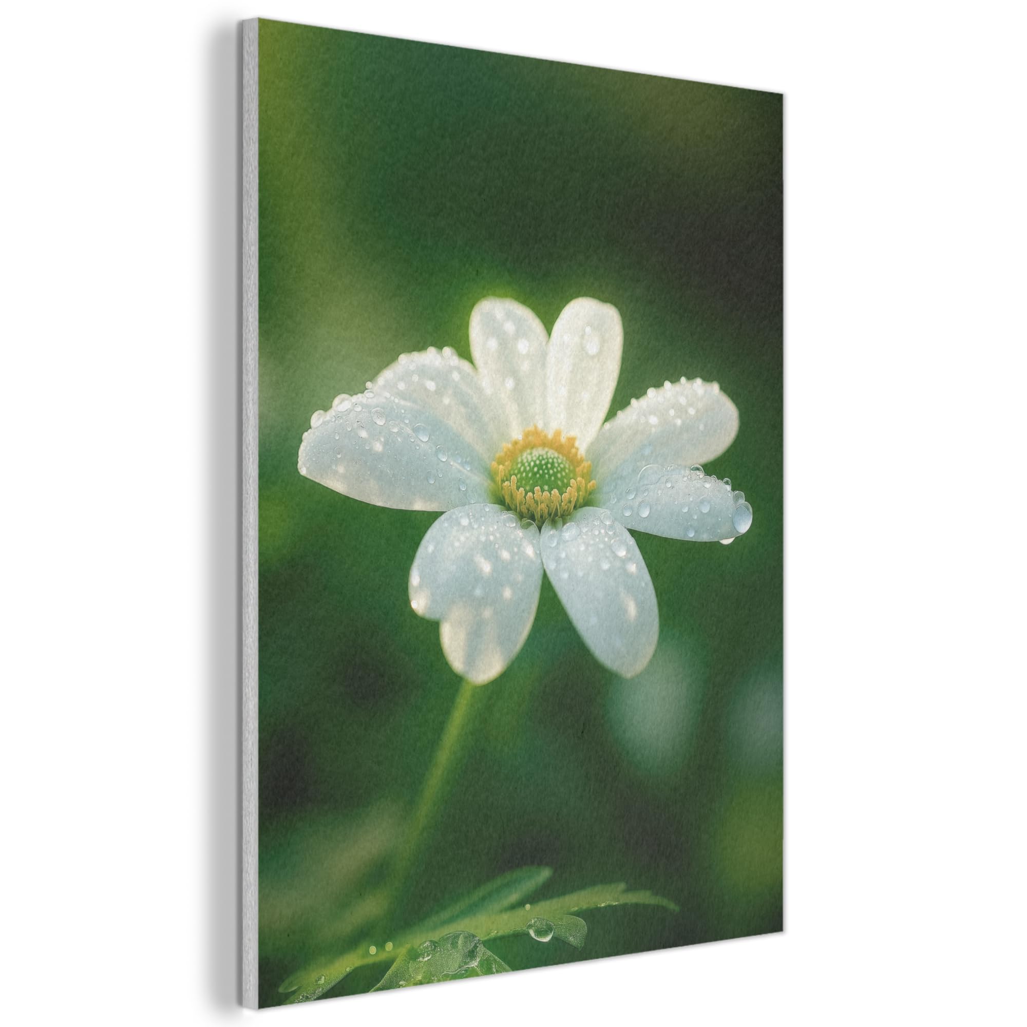 MuchoWow© Felt Panel 70x100 cm Framed Design Print Accent Interior Wallart Decoration Wall Art Flower - White - Dewdrops