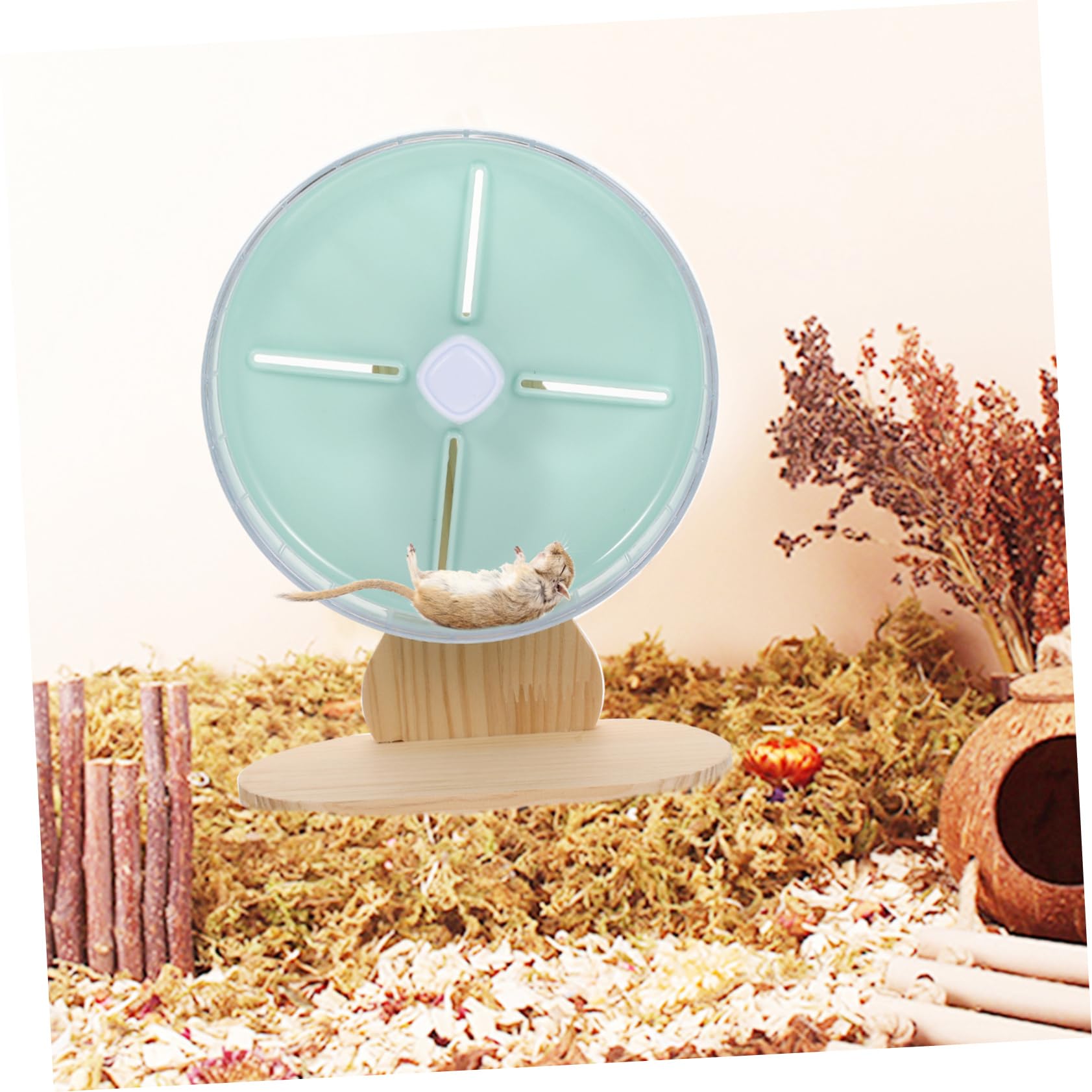 Toyvian Roue Silencieuse pour Hamster Roue pour pour Chinchilla Exercice pour Petit Animal Base Stable Compacte Et Délicate