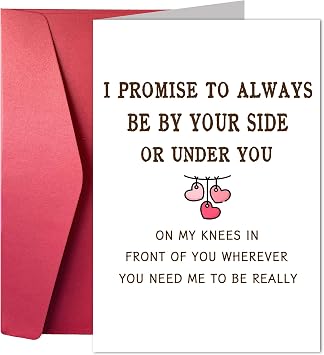 Funny Anniversary Cards, Rude Memorial Cards For Husband Wife, Wicked Confession Card For Boyfriend Girlfriend, Valentines Day Card For Fiance Fiancee-I Promise To Be Always By Your Side Or Under You