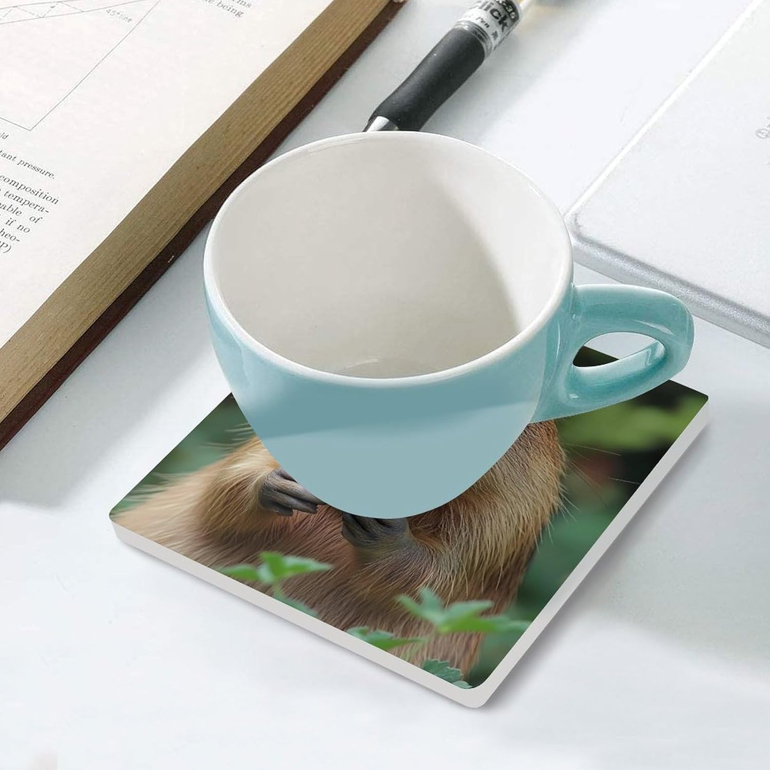 Capybara Eating Strawberry Funny Ceramic Coasters for Drink Absorbent Cup Holders Tabletop Protection
