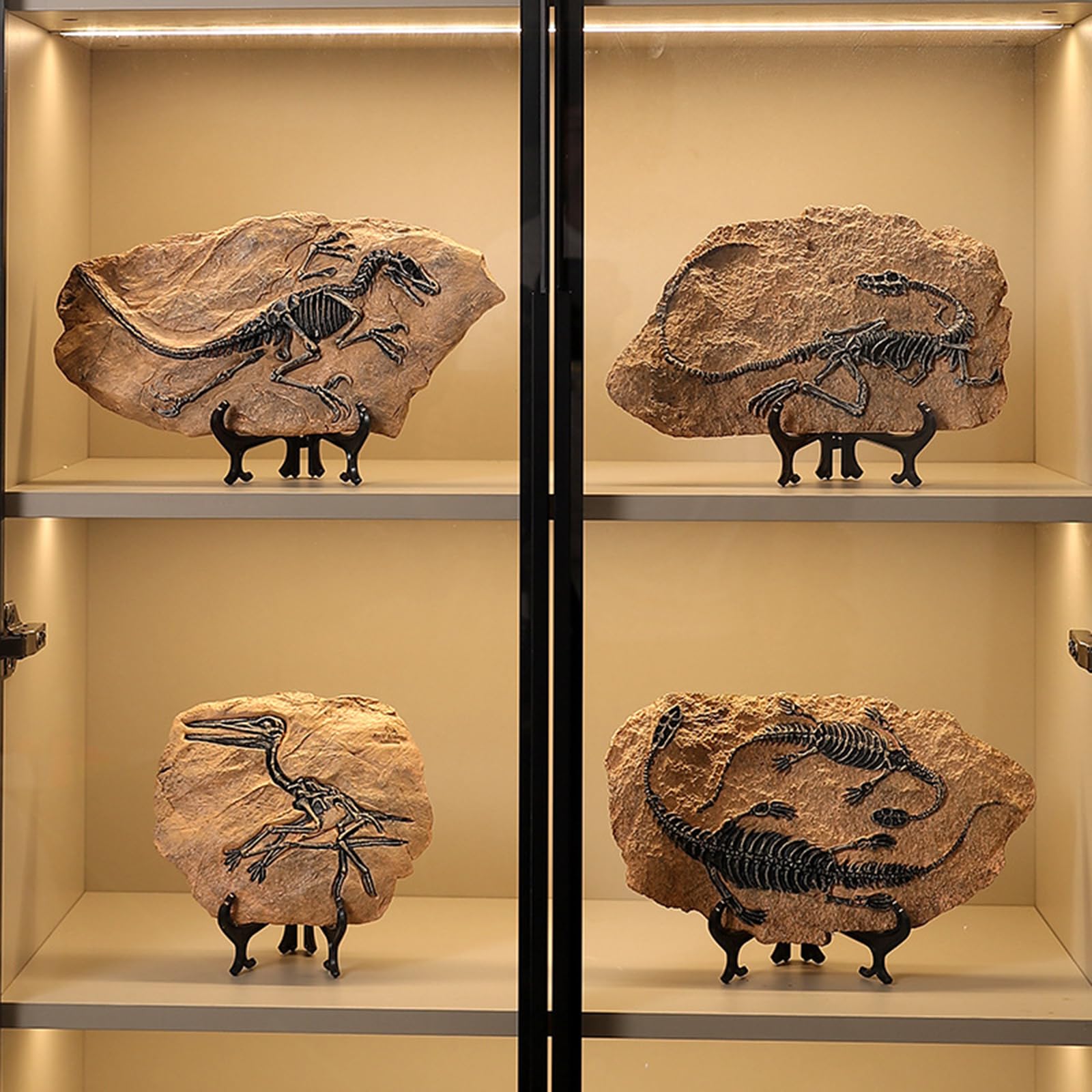 Harze Fossilien Dinosaurier Modell Realistische Skelett Repliken Statue Dekoration Für Home Office Desktop Regal Sammler Dekoration