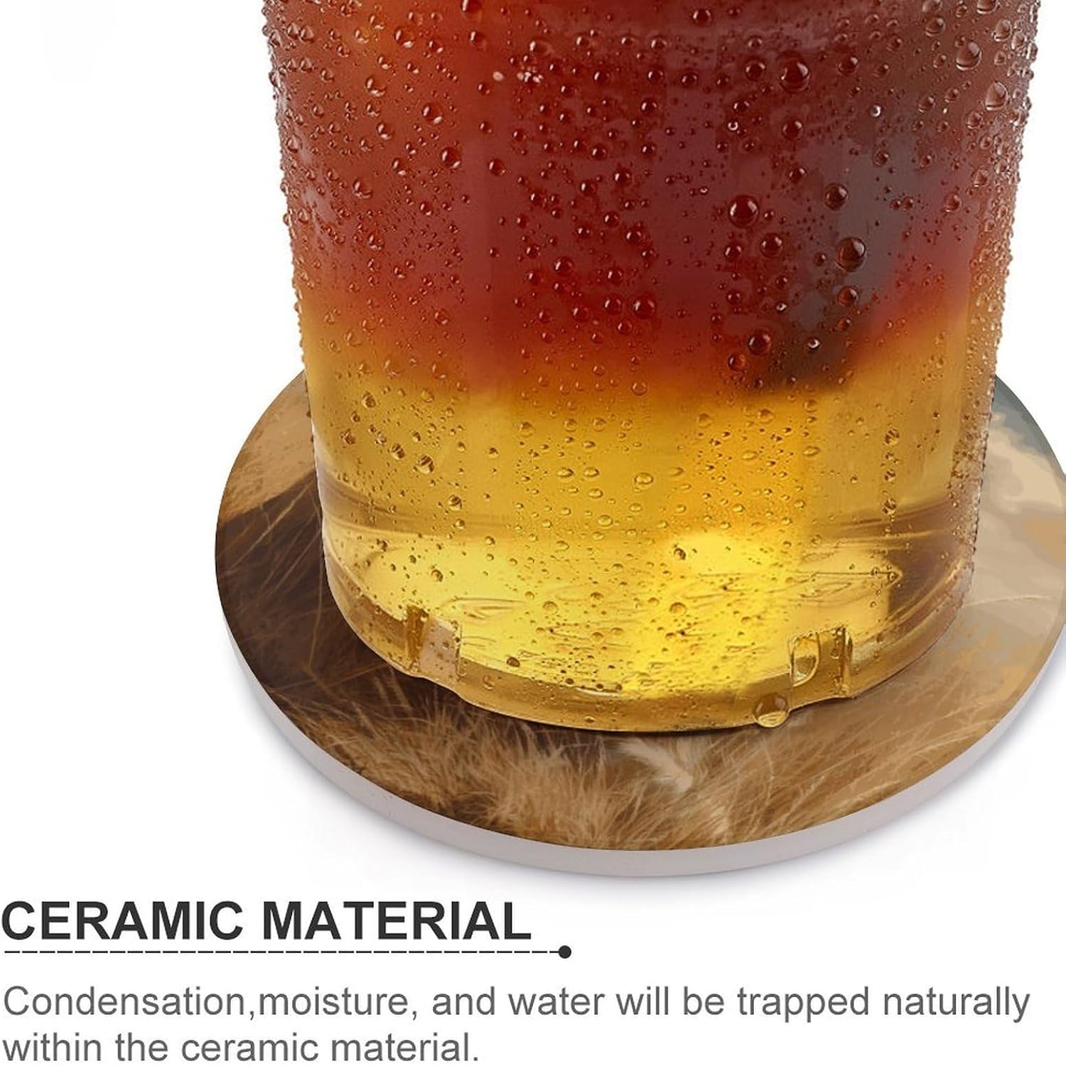 Prairie Lion Coasters for Drinks Absorbing Round Ceramic Stone Coaster with Cork Base Coffee Cup Beverage Table Cup Mat Modern Style Bar Coaster Set for Home Decor