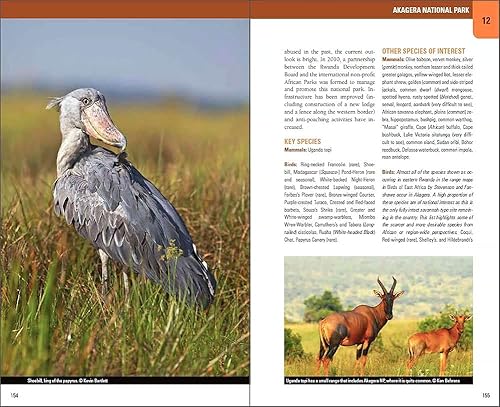 Wild Rwanda: Where to watch birds, primates, and other wildlife