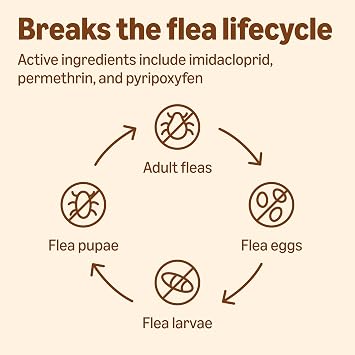 Amazon Basics Preventative Flea, Tick & Mosquito Topical Treatment for Large Dogs (21-55 Pounds), Kills Fleas, 4 Count, Packaging May Vary