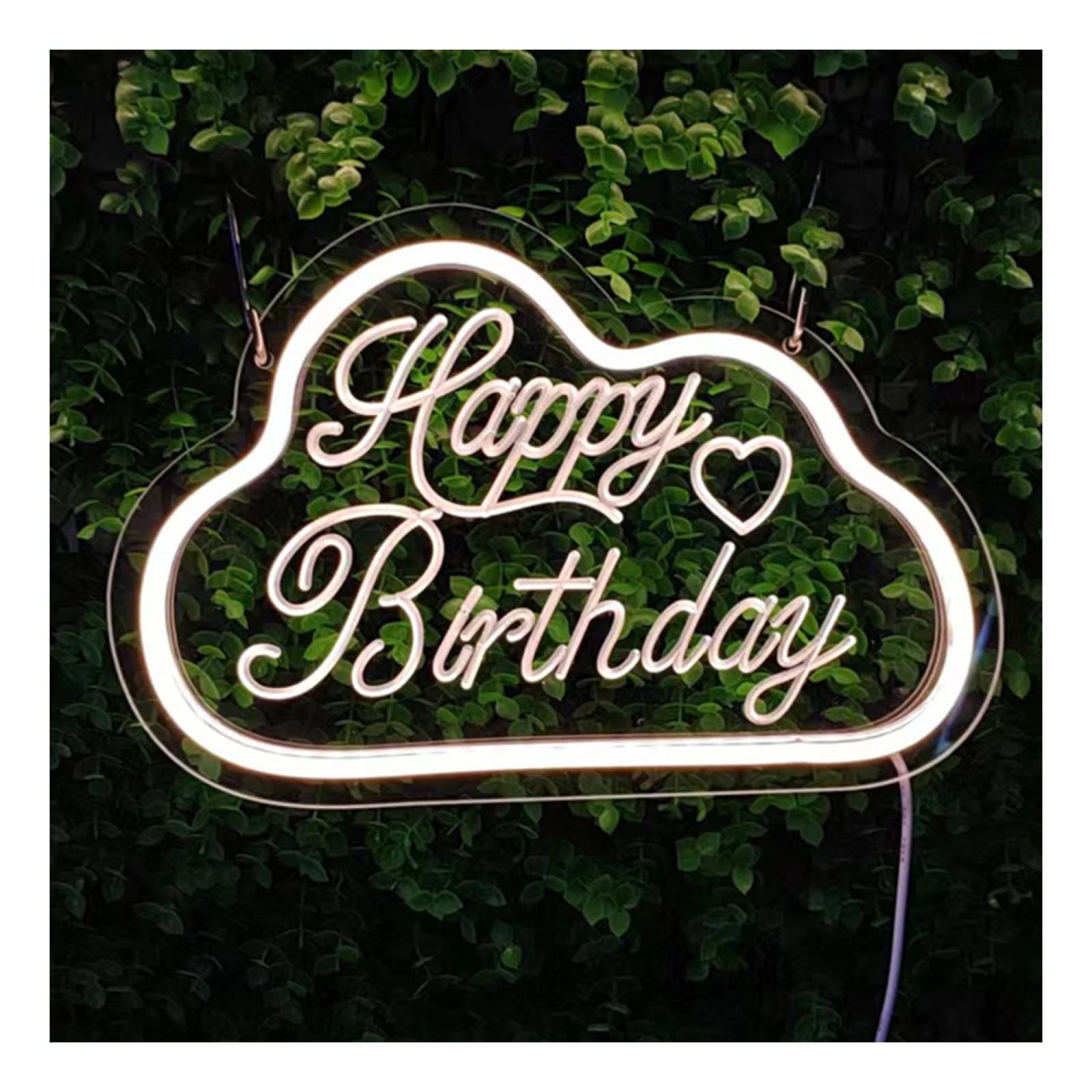 Wall Decor Neon Light|USB Powered Dimmable Creative Led Modeling Lights|Light Up Letters Neon Signs Happy Birthday Party Decor,Warm White