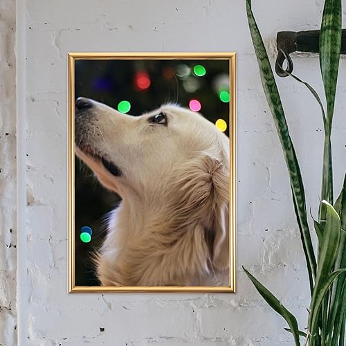 Miniatura 8 de ARTIBETTER Marcos de fotos de 16 x 20 pulgadas para pared, marco de pared colgante A4, marco de fotos de metal para niños, marco de fotos de boda,