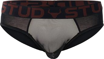 Stud Briefs (Briefs) Varicocele and Fertility Underwear