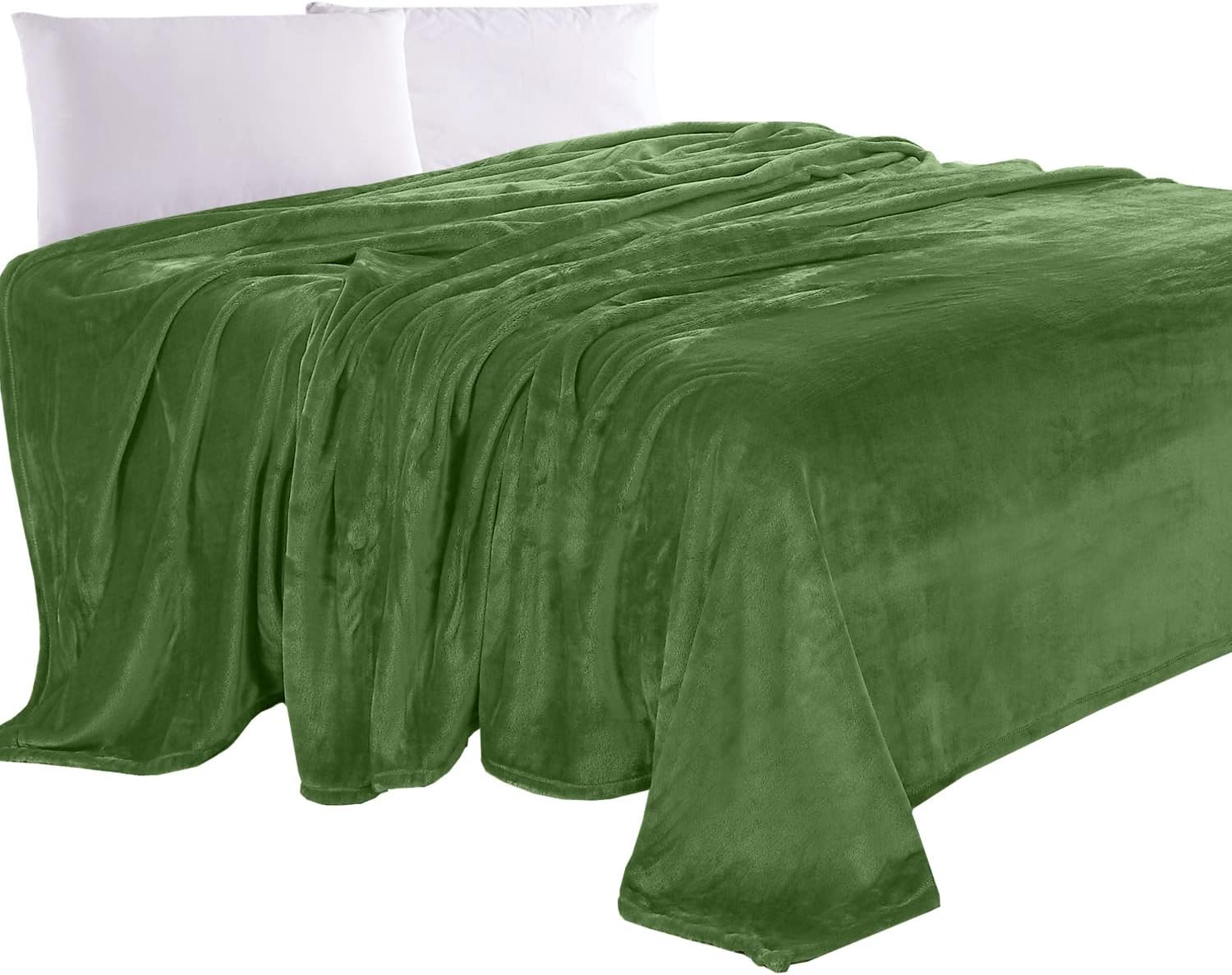 Elegant Comfort Luxury Velvety Feel Blanket, AllSeason