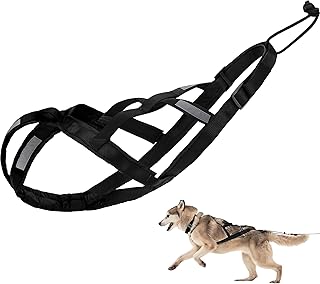 Dog Pulling Harness Reflective X-Back Harness for Sledding Exercise, Canicross Scootering, Bikejoring, Skijoring, Fit
