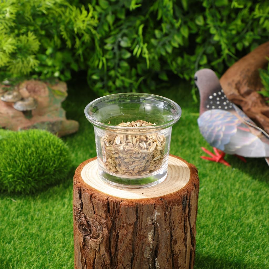 2Pcs Glass Replacement Feeder Cups for Hummingbird Wild Bird Feeders Accessory, Hanging Small Bowl Accessory for Outdoor Garden Balcony & Patio Balcony Window Resistant Easy to Clean image 5