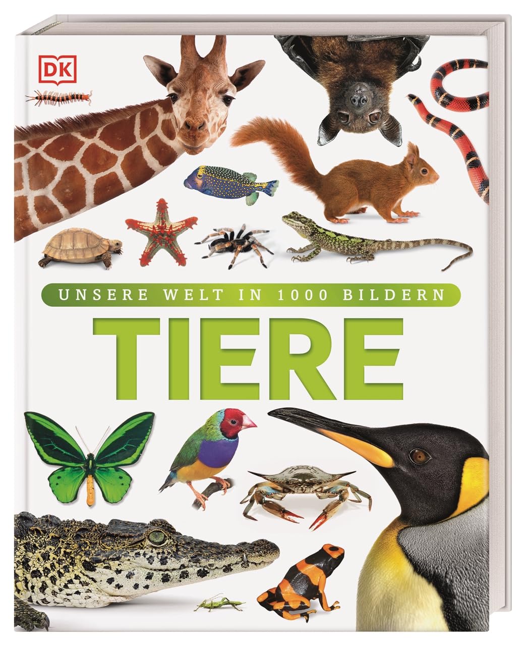 Tiere: Säugetiere, Vögel, Fische, Reptilien und Insekten