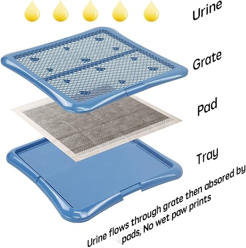 Miniatura 5 de petphabet Soporte de almohadilla de entrenamiento para perros, bandeja de entrenamiento de malla (L-24 x 24 pulgadas)