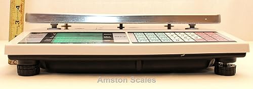 Miniatura 8 de 6.6 libras x 0.0002 libras / 6.6 lbs x 0.00 oz grande (bandeja de 13 x 9 pulgadas) para contar monedas, piezas de inventario, pieza de papel