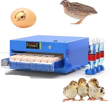 56-392 Egg Incubator with Automatic Egg Turning and Water Filling, Humidity Control Temperature Incubator for Hatching Chicken, Duck, Goose and Bird Eggs,64
