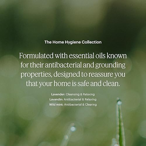 Miniatura 3 de Aera Mini higiene casera lavanda y bergamota - Aceite esencial para el hogar - Fragancia relajante - Notas de lavanda, lavanda y menta silvestre -